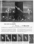 Bulova 1961 075.jpg